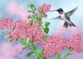 Колибри над цветком, схема на канве