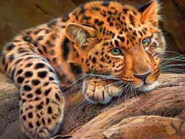 Леопард, алмазная живопись