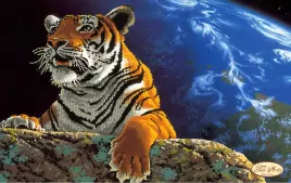 Амурский тигр. спасем планету, набор для вышивания