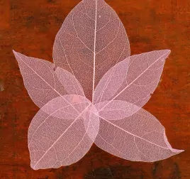 Сухие листья, (набор 5 шт), размер 1 шт 8*5, цвет розовый