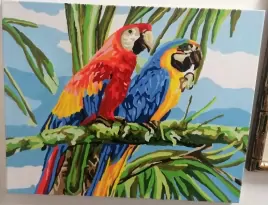 Папугаи