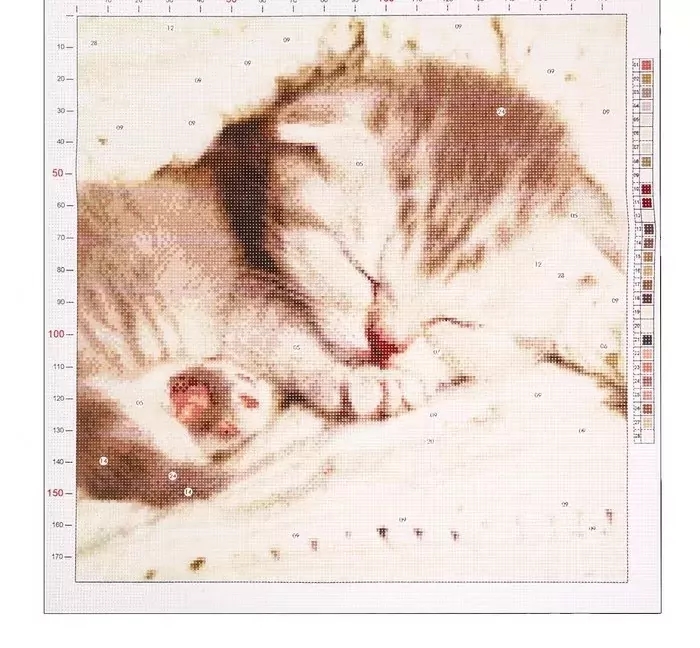 Канва для вышивания с рисунком «Котёнок» 41 х 41 см фото 1