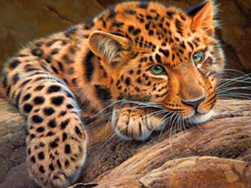 Леопард, алмазная живопись фото 1
