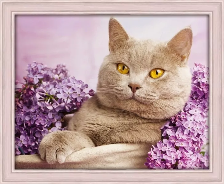 Кот в сирени, алмазная живопись фото 1