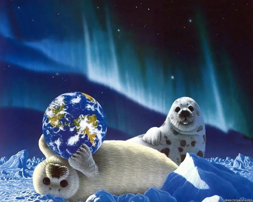 Морские котики. спасем планету, схема на канве фото 2