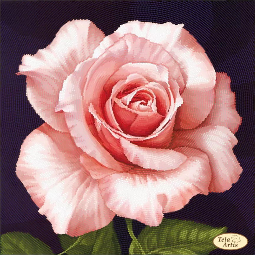 Роза афродита, схема на канве фото 1