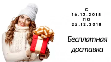 0 рублей за доставку с 16 по 25 декабря 2018 года